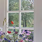 Lachmoewe